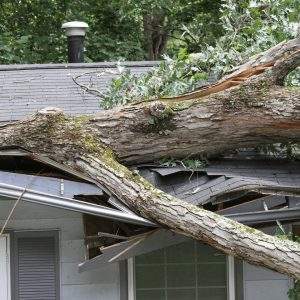 damaged roof ottawa