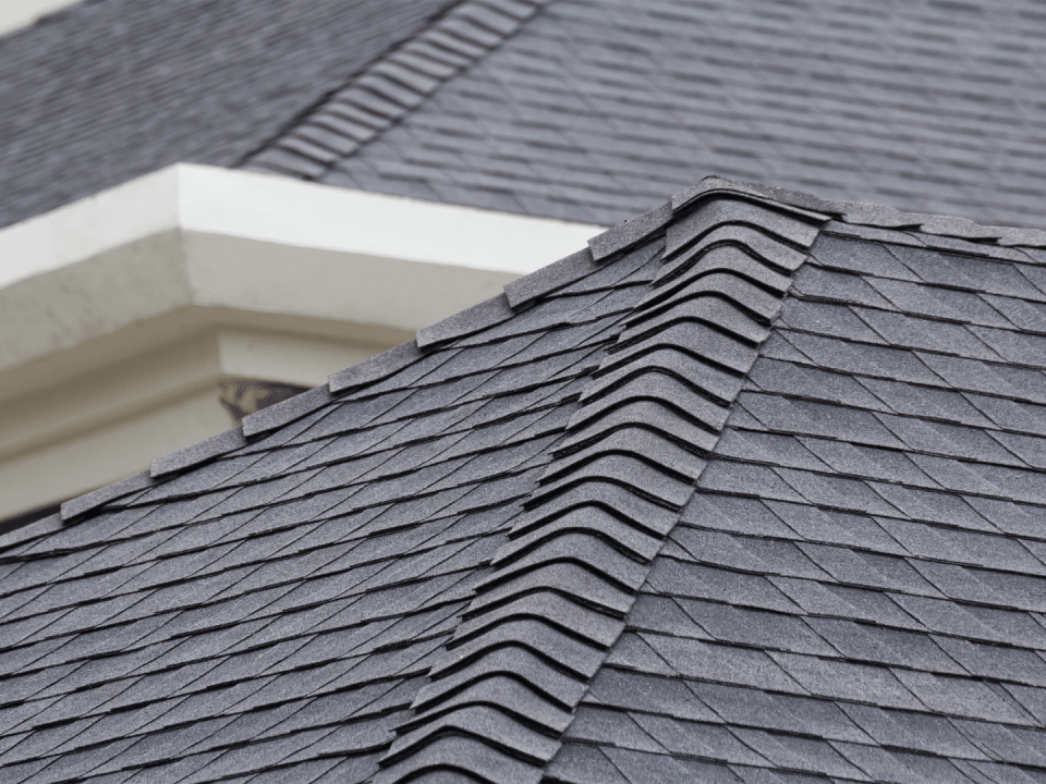 Roofing Repair Needs Near Me